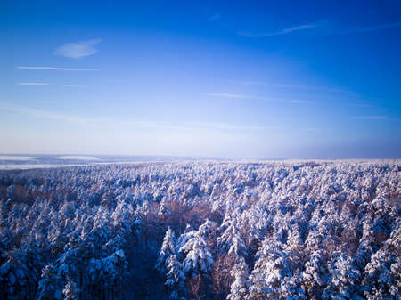 Winter forest after snowfall. Blue sky Aerial view landscape.の写真素材