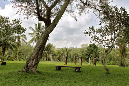 Garden of stones and tranquility. Place of relaxation in the jungle. Stone bench Palm trees and lawn with grass. Vertically stand tall stones.の写真素材