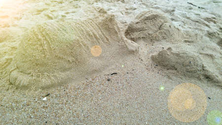 Figures of a rabbit and two cats made of sand on the ocean beach.