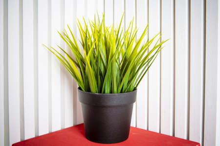 Decorative artificial potted plant, grass in flower pot. Plastic rearistic office greens dont need...
