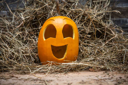 Yellow and happy smiling pumpkin. Halloween symbol on a gray stone wall background, stands on a hay and a wooden stand. Jack o lanternの写真素材