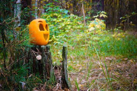 Orange funny Halloween pumpkin in the autumn forest on an old stump. Jack o lanternの写真素材