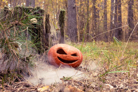 Pumpkin halloween symbol in the autumn forest. Next to an old rotten stump covered with moss. Warm toned and with smoke or fog on the groundの写真素材