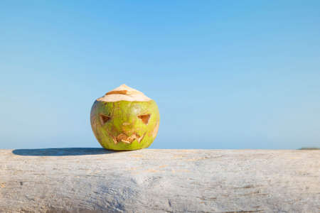 Fresh green coconut is a symbol of Halloween. Lies on a tree with a carved face like a pumpkin. Against the sky.の写真素材