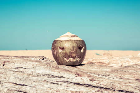 coconut as a symbol of halloween in the shape of a pumpkin stands a tree. on a tropical beach. Holidays vacation concept. Sepia toned and blue sky on backgroundの写真素材