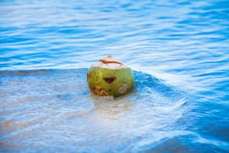 Fresh green coconut with a face carved on it like on a lantern jack in the water on the beach. Tropical halloween symbol. Holiday Vacation Conceptの写真素材