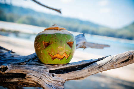 A halloween symbol carved from a young green coconut. Scary face like a pumpkin. stands on the branches of a tree against the background of a wide tropical beach. Sunny day. Holiday Vacation concept.の写真素材
