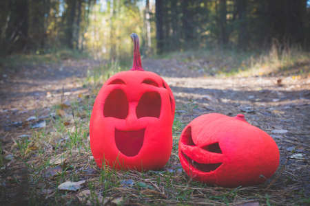 Two pink halloween pumpkins in the autumn forest stand on a country road.の写真素材