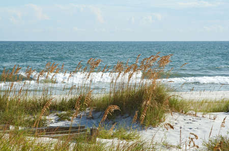 A scenic image of the beach.の写真素材