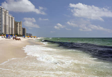 Perdido Key, Florida - Sept 20: What appeared at first to be patches of oil approaching the beach at Perdido Key, Florida on Sept. 20, 2010 turned out to be large groups of minnow size fish.のeditorial素材