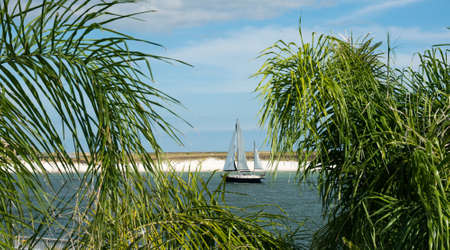 A sailboat entering the bay at Orange Beach AL.