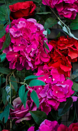 Amazing pink and red roses wall decoration, hand made.の写真素材