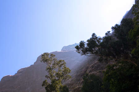 Beams of morning light behind the mountain shine the summer forestの写真素材