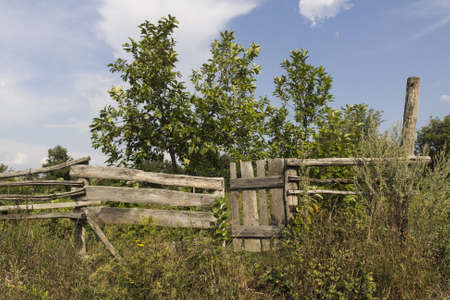 Old wooden fence on summer dayの写真素材