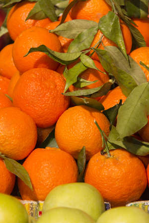 Tangerines and applesの写真素材