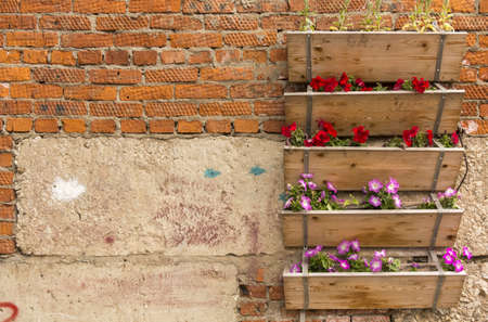 Boxes with garden flowers on a brick wallの写真素材