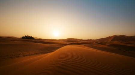 Beautiful sunset in the desert with clear skies and smooth sandの写真素材