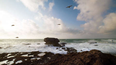 A stone shore near the ocean in Morocco, which crashes waves. There are flocks of birds circling the sky with clouds.の写真素材