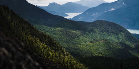 A lake in Canada flowing between the low grassed mountains that surround itの写真素材
