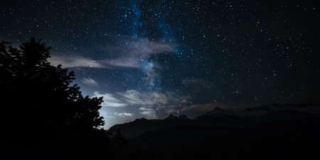 A starry night sky over a forest in Canada that illuminates many stars