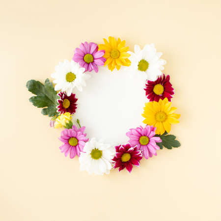 Vibrant color spring blooming flowers  arranged in cyrcle shape with copy space on pastel...