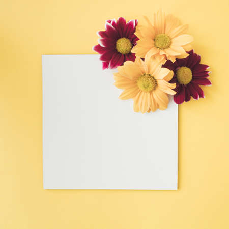 Minimal floral composition, with copy space, against pastel yellow  background.の写真素材