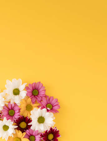 Pink and white spring flowers, on vivid yellow background. Minimal concept.の写真素材