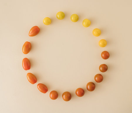 Juicy tomatoes of different species and shapes, arranged in a cyrcle with copy space. fresh vegetables. healthy cooking. healthy life.Healthy food. Healty cusine. Minimal flat lay.の写真素材