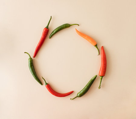 Fresh chili pappers, of various colors arranged in a circle. Healthy food. Healthy coocking. Minimal flat lay copy space concept.の写真素材