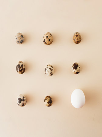 eggs arranged in a square.  quail eggs with a dotted shell with one white egg on a pastel background. Minimal Easter concept.の写真素材