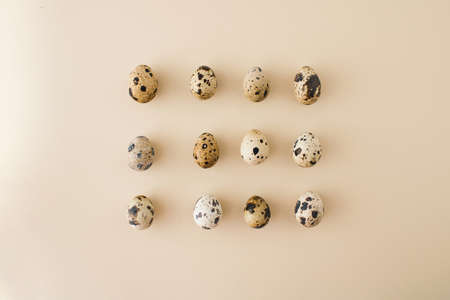 eggs arranged in a square of quail eggs with a spotted shell on a pastel background. minimal easter...