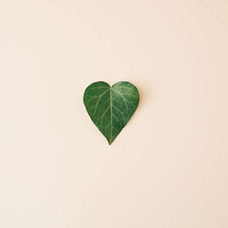green leaf heart shaped on pastel background. Love concept.  Minimal natural concept. flat lay.
