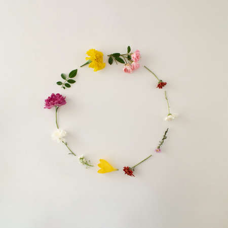 Colorful autumn flowers.  Minimal copy space concept on white background.の写真素材