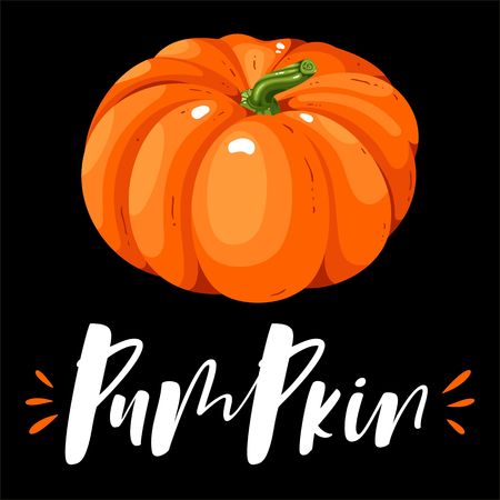 Pumpkin illustration.のイラスト素材