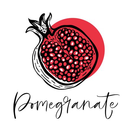 Hand drawn pomegranate fruit. Vector illustration.のイラスト素材