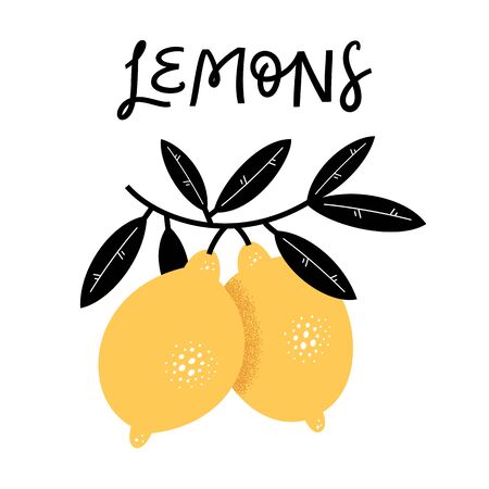 Lemon tree branch isolated on white background. Hand drawn vector illustration with lettering.のイラスト素材