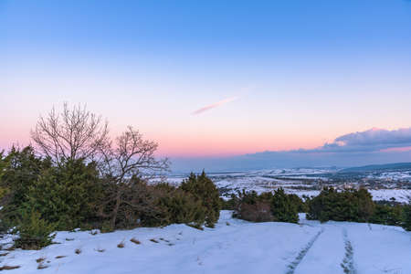 Road through a forest of juniper on the background of colorful sunset sky. Russia, Stary Krym.の写真素材