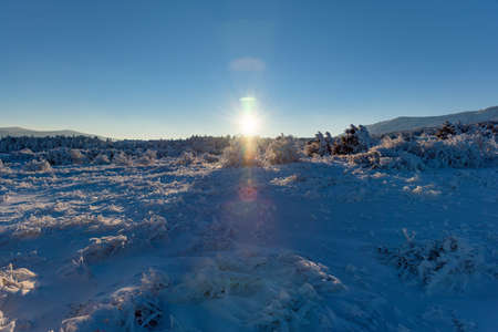 Sunset in winter snow fieldの写真素材