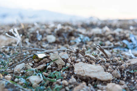 Gravel stone texture close upの写真素材