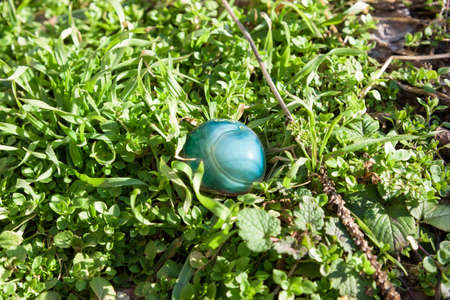 blue gemstone on grassの写真素材