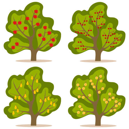 A tree with fruit. Flat design, vector illustration, vector.のイラスト素材