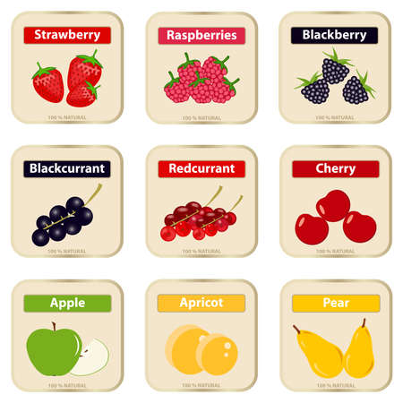 Labels of berries and fruits. Flat design, vector illustration, vector.のイラスト素材