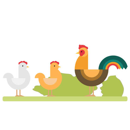 A rooster and two hens. Flat design, vector illustration, vector.のイラスト素材