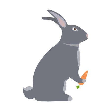 A hare with a carrot. Flat design, vector illustration, vector.のイラスト素材