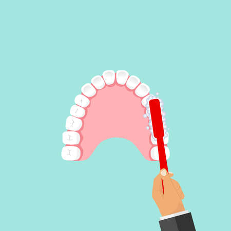 The toothbrush cleans teeth. Flat design, vector illustration, vector.のイラスト素材