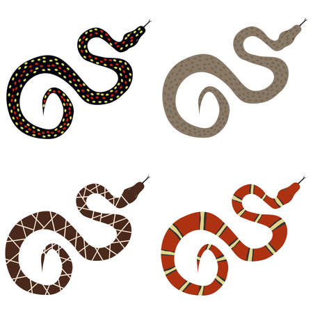 Snake, a set of poisonous snakes. Flat design, vector illustration, vector.