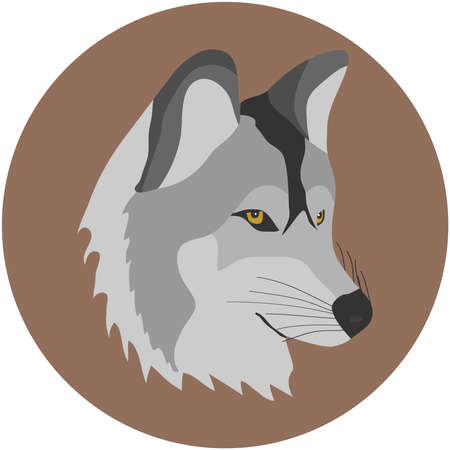 A wolf, a wolf's head. Flat design, vector illustration, vector.のイラスト素材