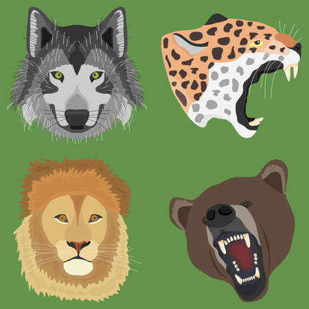 The head of a wolf, the head of a leopard, a bear, a lion. Flat design, vector illustration, vector.