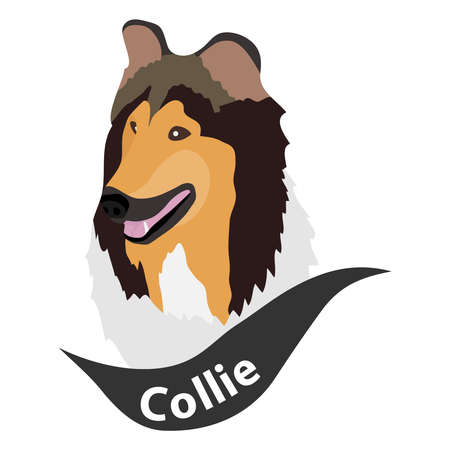 Scottish Shepherd Dog, dog head, dog. Flat design, vector illustration.のイラスト素材