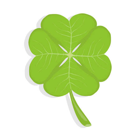 Clover, four-leafed clover, a symbol of luck. Realistic, green clover. Flat design, vector illustration, vector.のイラスト素材